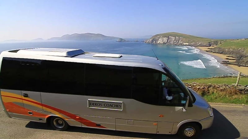 From Killarney: Dingle and Slea Head Peninsula Day Tour - The Dingle Dolphin: worth hoping for, but not counting on