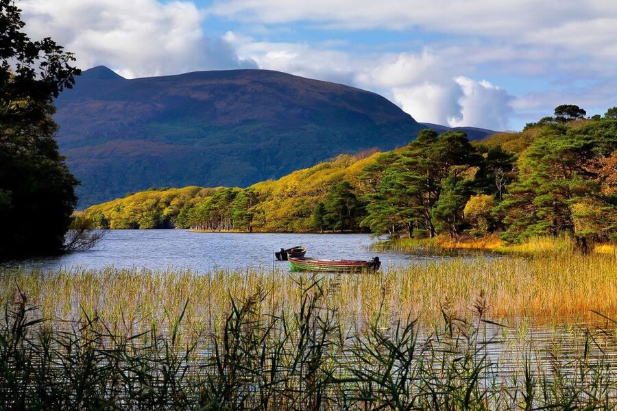 From Killarney: Ring of Kerry Full-Day Tour - Ring of Kerry Full-Day From Killarney: What Makes It Worth It