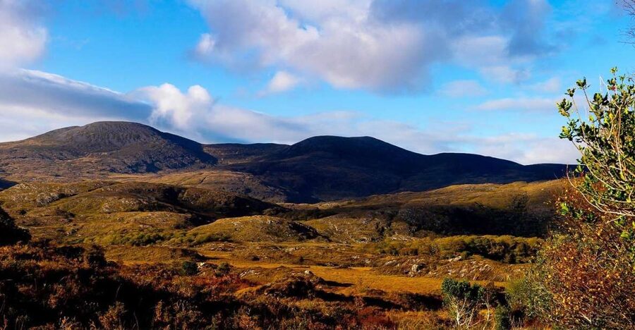 From Killarney: Ring of Kerry Full-Day Tour - Killarney National Park, Ladies View, and Molls Gap: The View Deck Moment