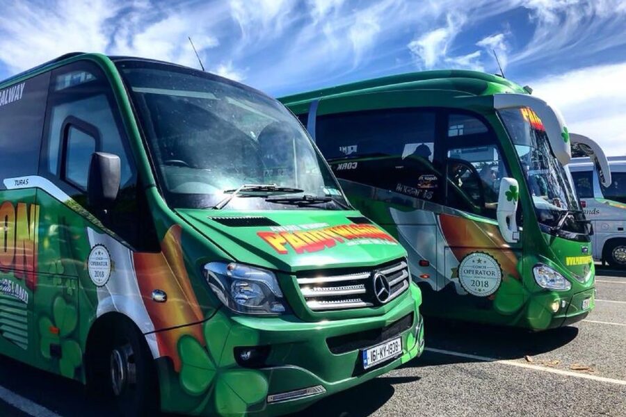 From Killarney: Ring of Kerry Full-Day Tour - Why the Guide Makes or Breaks This Day
