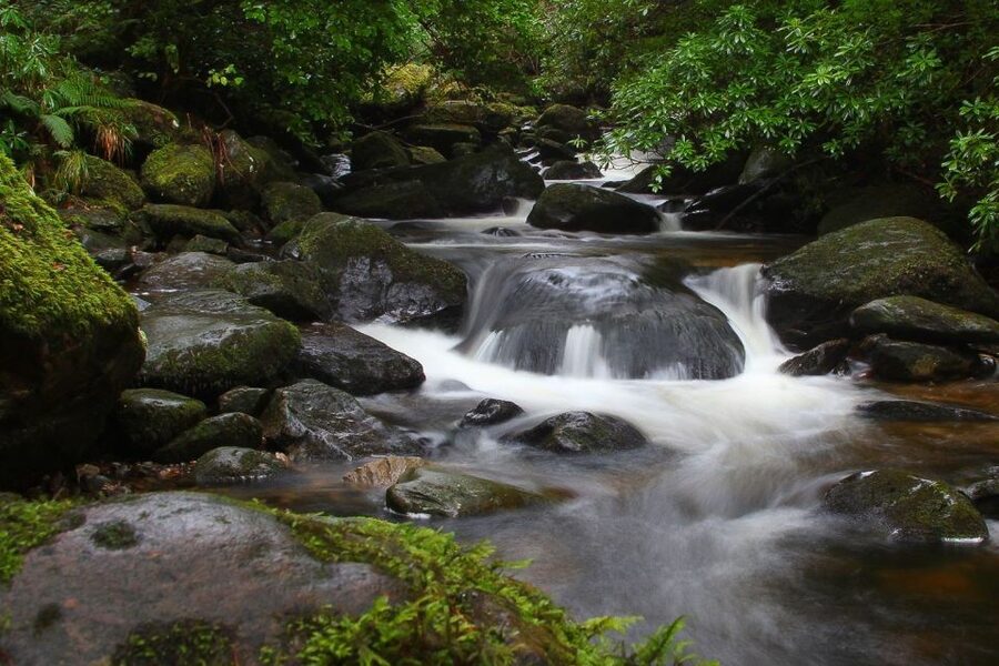 From Killarney: Ring of Kerry Full-Day Tour - Getting Around on an Air-Conditioned Coach, With Real Stop Time