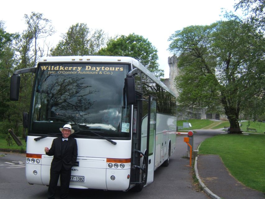 From Killarney: 'Ring of Kerry' Mountain Road 1-Day Bus Tour - Key Highlights You’ll Actually Feel