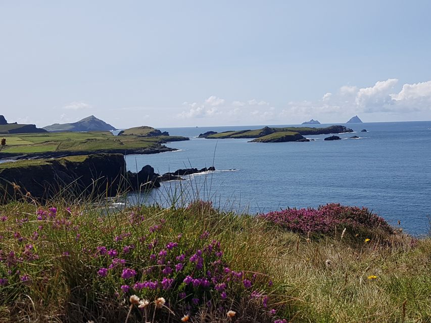 From Killarney: 'Ring of Kerry' Mountain Road 1-Day Bus Tour - The Guides and Drivers Make or Break the Day