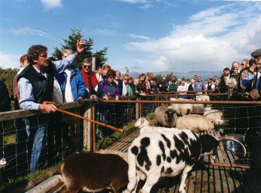 From Killarney: 'Ring of Kerry' Mountain Road 1-Day Bus Tour - Price and Value for $45, What You’re Really Paying For