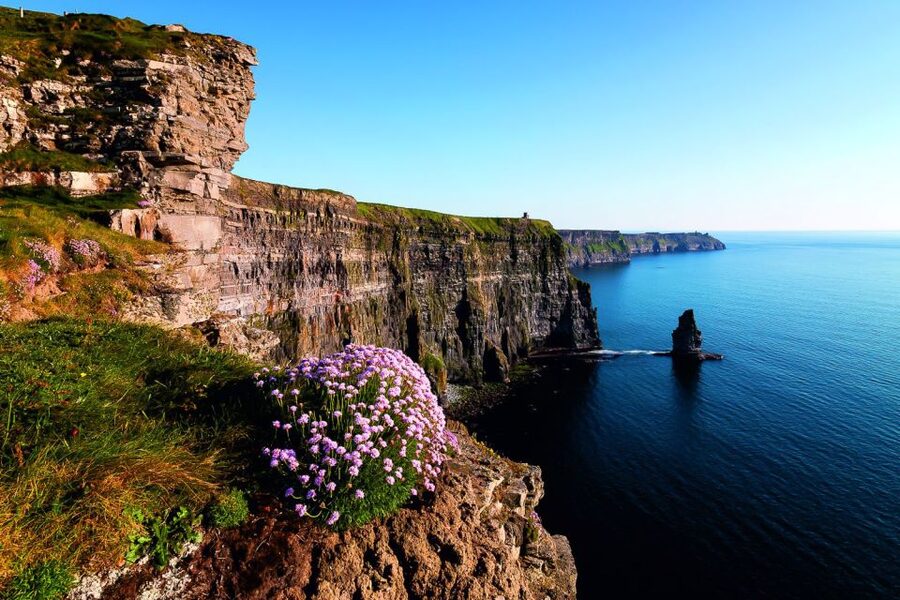 From Limerick: Full-Day Guided Tour of Cliffs of Moher - Lunch in Liscannor or Doolin: eating with local rhythm