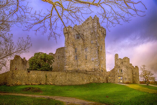 Full-Day Private Historical Tour at Ring of Kerry - Key things that make this tour worth your time