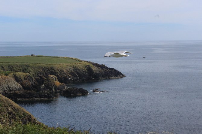 Full day Private Tour from Waterford - Quick hits before you pick your date