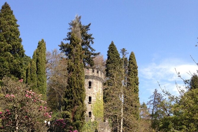 Full Day Private Wicklow Tour - Why Wicklow Looks Different With a Private Guide