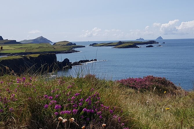 Full-Day Ring of Kerry Tour from Killarney - Why the Ring of Kerry feels easier on a bus than driving yourself