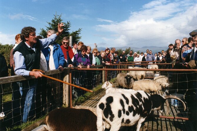 Full-Day Ring of Kerry Tour from Killarney - Killarney National Park and Killorglin: the route sets the mood