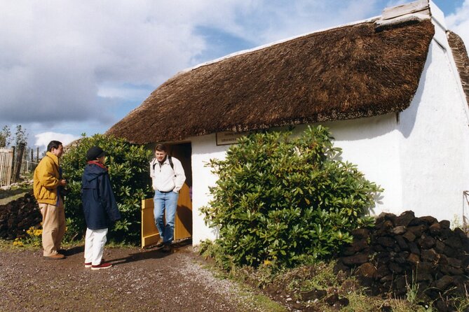 Full-Day Ring of Kerry Tour from Killarney - Dingle Bay, Molls Gap, and scenic photo stops that run the day