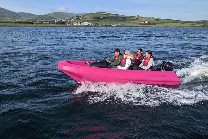 Funky Pink Self Drive Boats - How the Hour Plays Out: From Instructions to Inner Harbour Driving