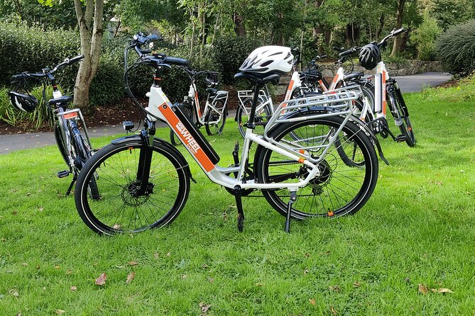 Galway City E-Bike Scavenger Hunt Game - Culture and community stops: Organ Donor Garden, OConnors Pub, UCG, Galway Cathedral