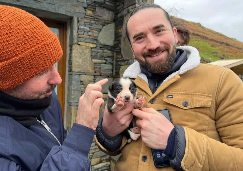 Galway: Connemara, Sheepdog Show and Medieval Castle Tour - Quick hits before you go