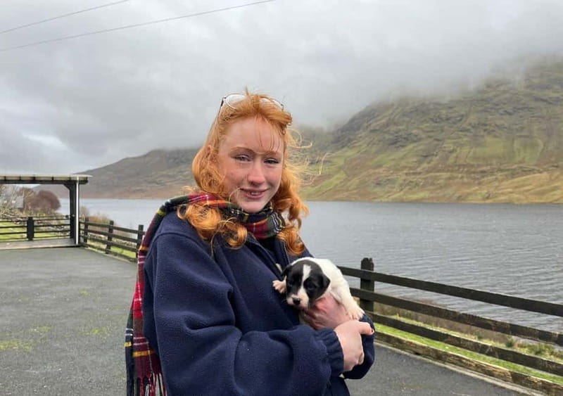 Galway: Connemara, Sheepdog Show and Medieval Castle Tour - Twelve Bens views and lake moments in Connemara
