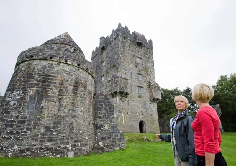 Galway: Connemara, Sheepdog Show and Medieval Castle Tour - Sheepdog demonstration at the working farm, led by Farmer Joe