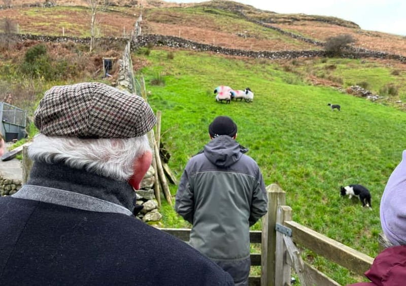 Galway: Connemara, Sheepdog Show and Medieval Castle Tour - Cong Village and Cong Abbey: history with a calmer pace