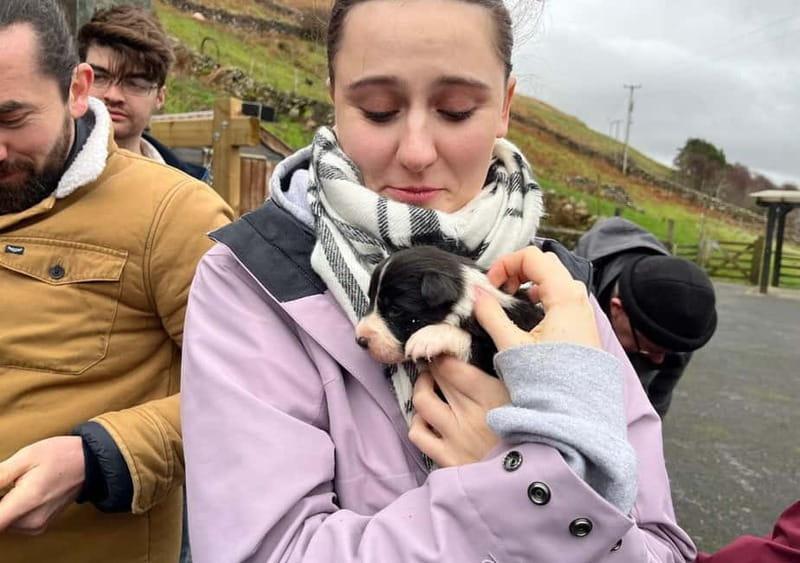 Galway: Connemara, Sheepdog Show and Medieval Castle Tour - What is included, and how to plan meals and spending