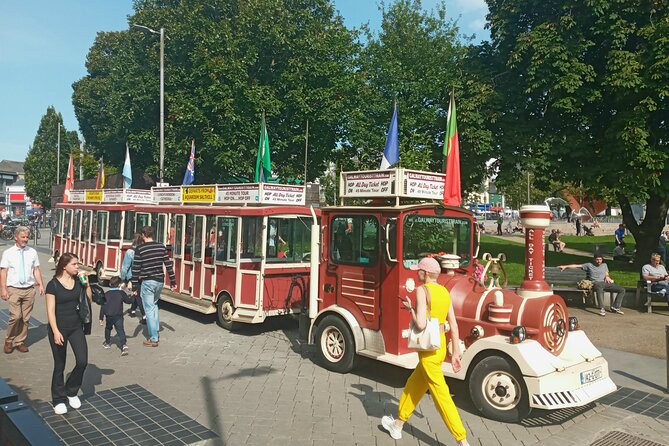 Galway History Walking tour with Local expert - Private Group - Why a private Galway history walk is such a good first move