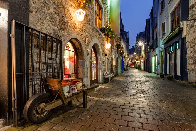 Galway Private Culinary Tour with Local Guide - Ending at Tigh Neachtain: Oldest Pub Energy and the Likely Tasting Finish