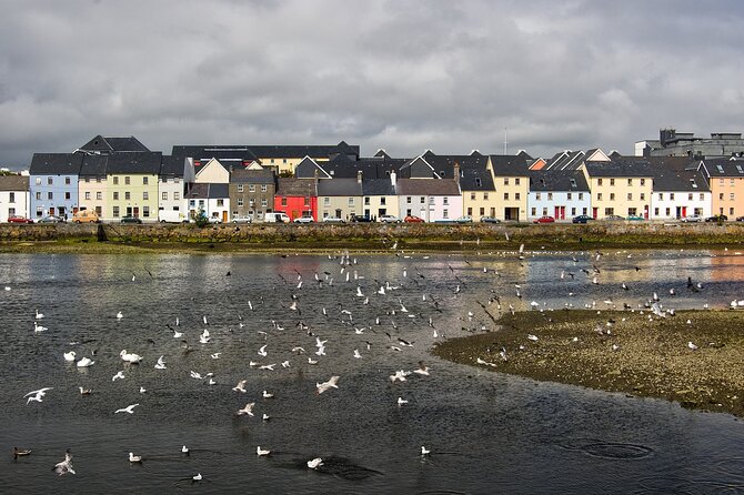 Galway Private Walking Tour - University of Galway’s Origins: Queen’s College Galway Begins