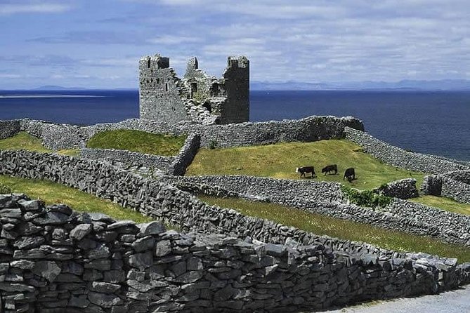 Galway to Aran Islands Inisheer, Doolin, Cliffs of Moher Day Tour - Value check: why $96.74 can work for the right traveler