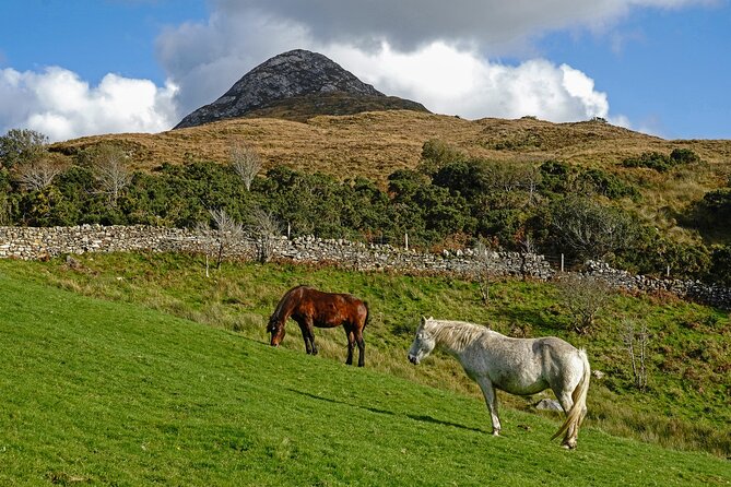 Galway to Connemara National Park Day Tour - Killary Harbour: Ireland’s only fjord, quick but scenic