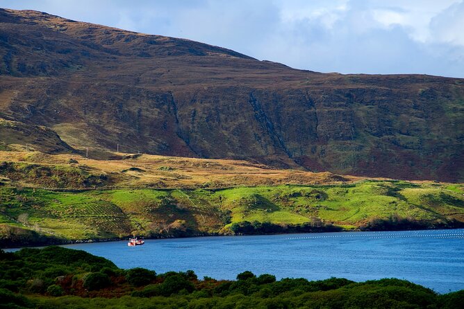 Galway to Connemara National Park Day Tour - Guide storytelling: music, language, and humor on the drive