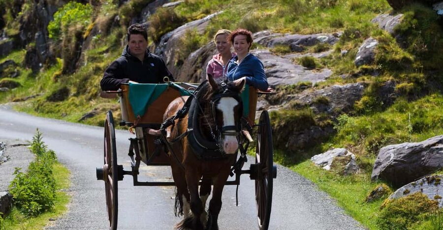 Gap of Dunloe & Lakes of Killlarney Boat Tour - Key things I’d focus on before you go