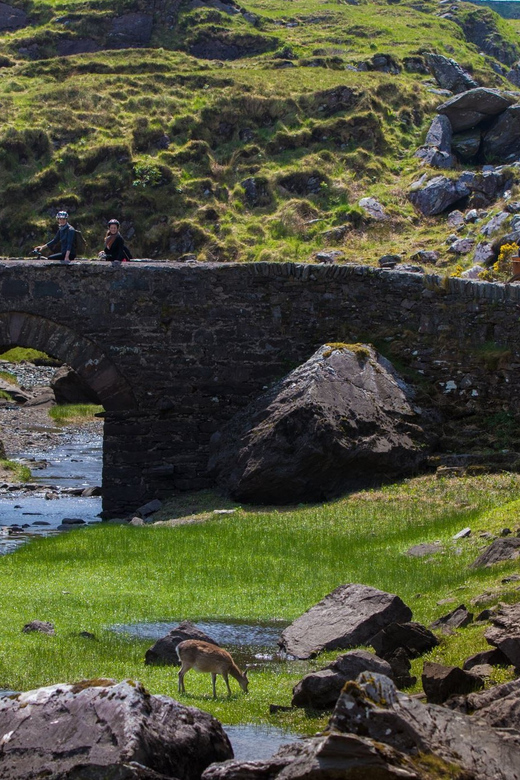 Gap of Dunloe & Lakes of Killlarney Boat Tour - Tour guide factor: what great guiding looks like here