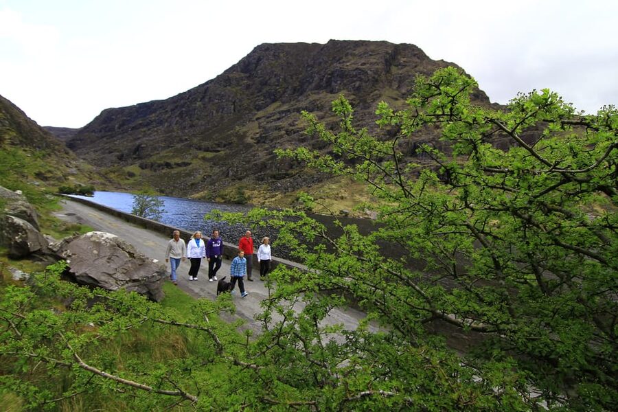 Gap of Dunloe & Lakes of Killlarney Boat Tour - From the Gearhameen River to the lakes: boat cruise + Old Weir Bridge