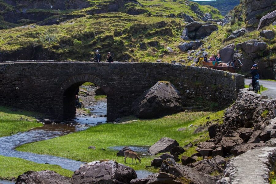 Gap of Dunloe & Lakes of Killlarney Boat Tour - Ross Castle: why this return stop works