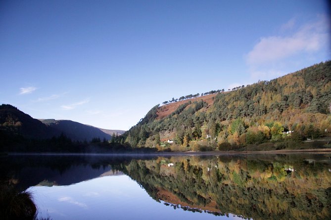 Glendalough and Dublin City Excursion - Ship to shore - Transportation and comfort: air-conditioned bus, luggage space, and a real seat