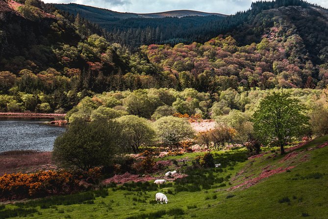 Glendalough Day Tour from Dublin: Including Kilkenny City - Price and Value: Paying for Transport, Entry Time, and a Guided Frame