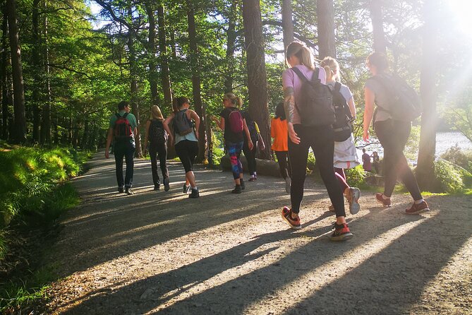 Glendalough Night Hike and History Tour - Guides, Group Size, and the Difference a Good Explanation Makes
