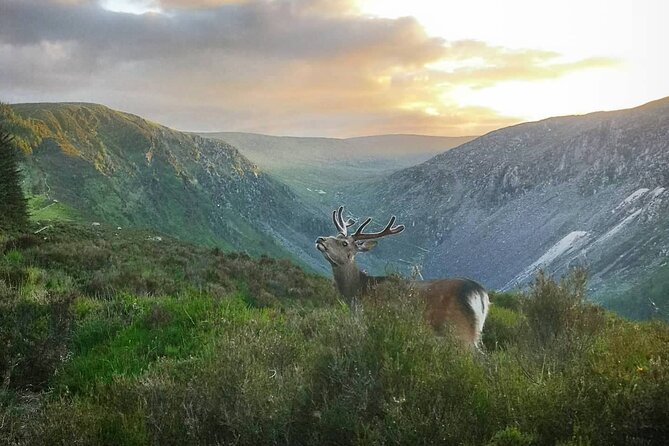 Glendalough Night Hike and History Tour - Getting There and Where the Hike Begins