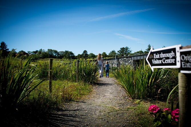 Guided Doolin Cave Tour: Experience Europe's Largest Stalactite - Who should book this Doolin Cave tour, and who should think twice