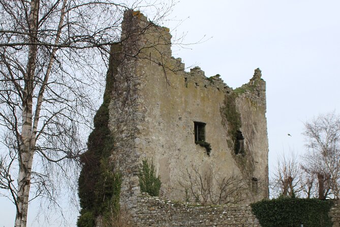 Guided eBike Tour - Killaloe and the Lough Derg Shore - eBike Comfort and Safety: What You Actually Get in Your Panniers