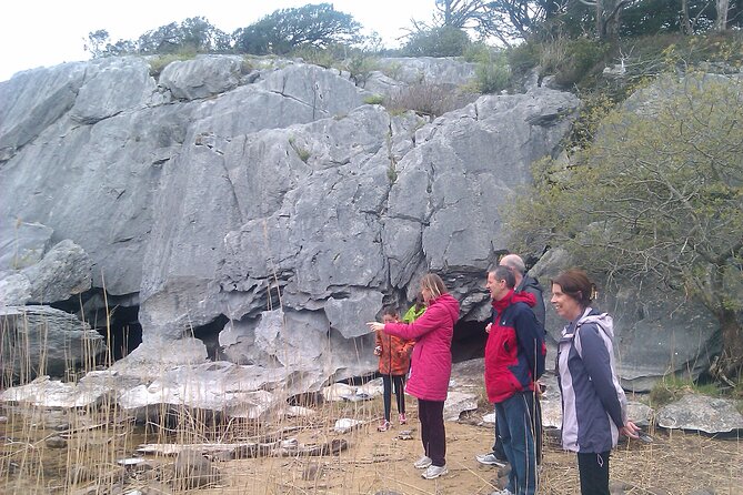 Guided Killarney National Park Walking Tour - Deenagh Lodge and summer tea rooms, plus the gate-lodge connection
