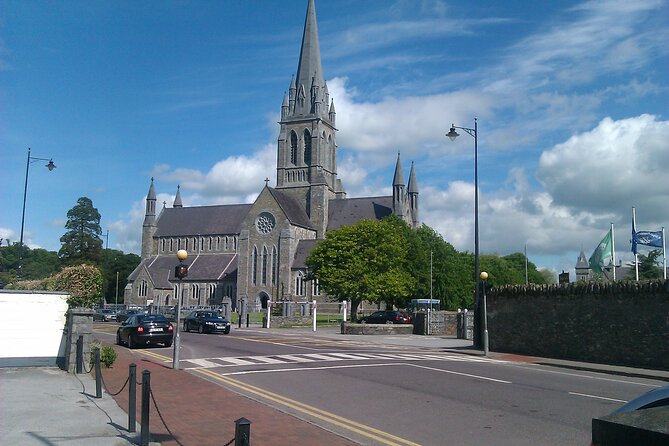 Guided Killarney National Park Walking Tour - Timing, pace, and how long 2 hours can really feel