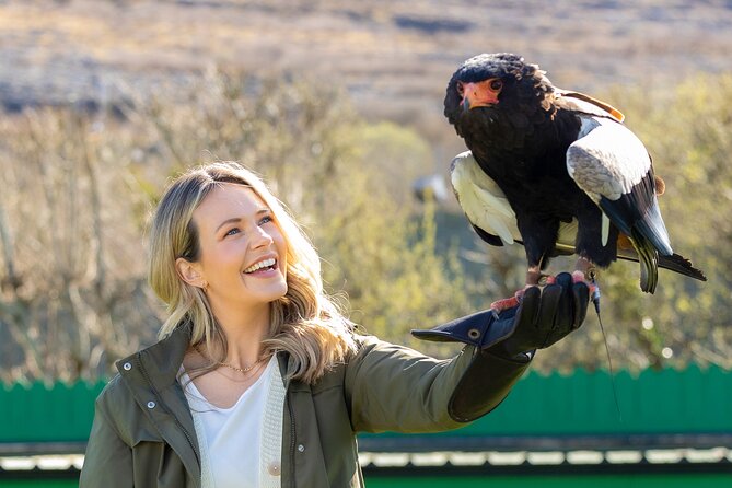 Guided Tour of Aillwee Cave and Visit to the Birds of Prey Centre - Key Highlights You Should Know Before You Go