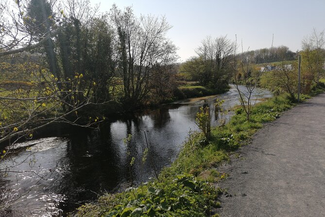 Guided Walking Tour in stunning county Waterford Ireland - Mindfulness Section 1 on the Greenway: flora, fauna, and slow attention