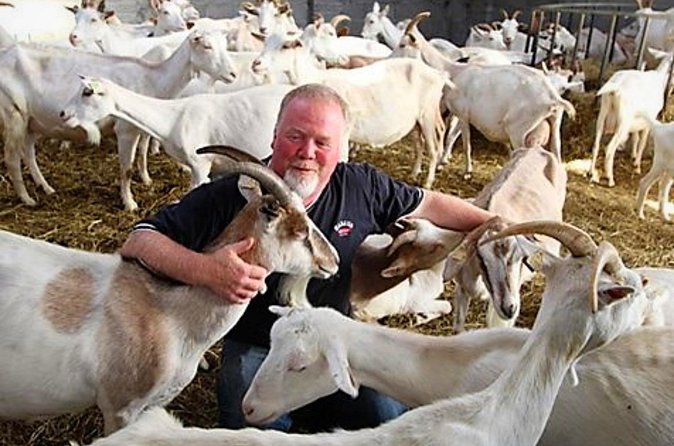 History & cultural tour of Inishmore, Aran Islands. Galway. Private. 2 ½ hours - Aran Island Goat’s Cheese: meet the goats and taste the island