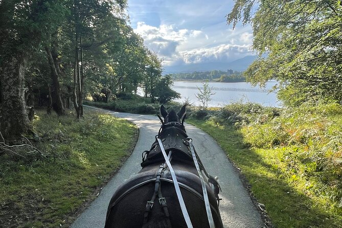 Horse-Drawn Carriage Tours in Killarney - Key points before you book