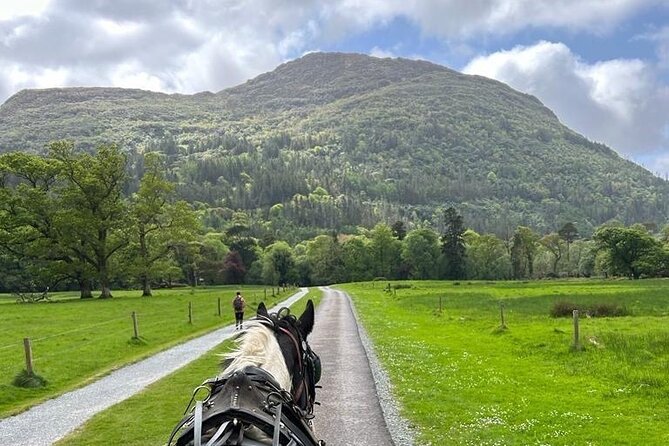 Horse-Drawn Carriage Tours in Killarney - A calm 1-hour loop through Killarney National Park’s best-known sights