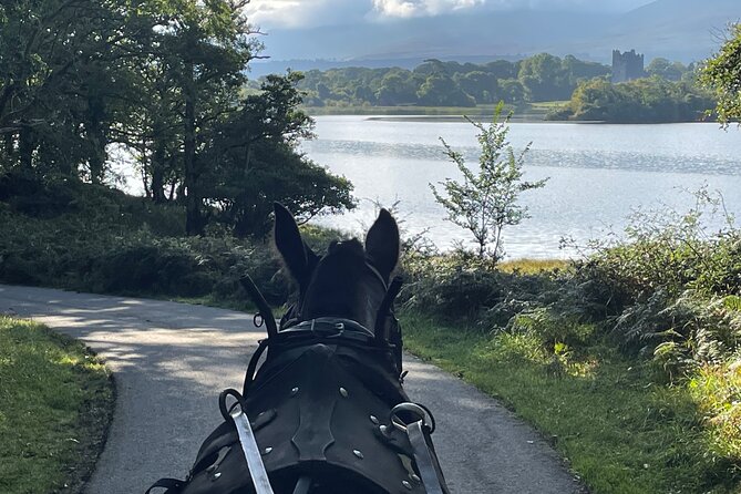 Horse-Drawn Carriage Tours in Killarney - Lakes of Killarney views, plus mountains that frame the water