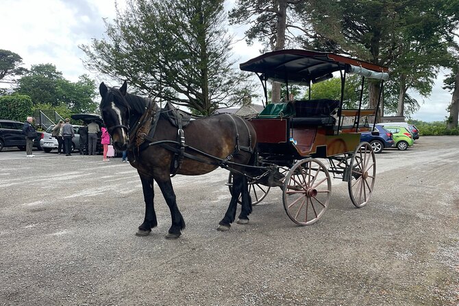 Horse-Drawn Carriage Tours in Killarney - Inisfallen ruins: the 7th-century monastery stop that adds depth