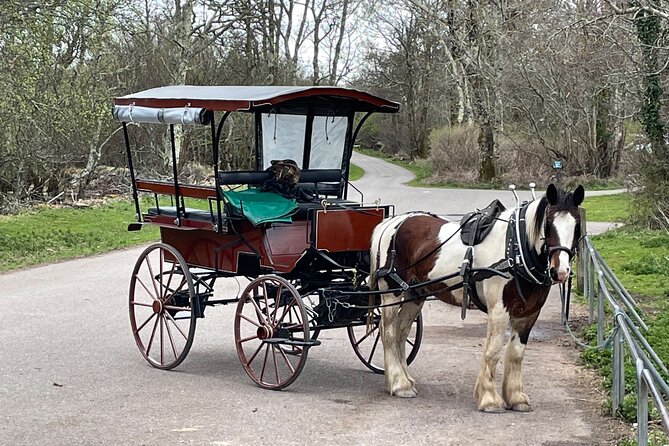 Horse-Drawn Carriage Tours in Killarney - Ross Castle photo time: how to use your short stop well