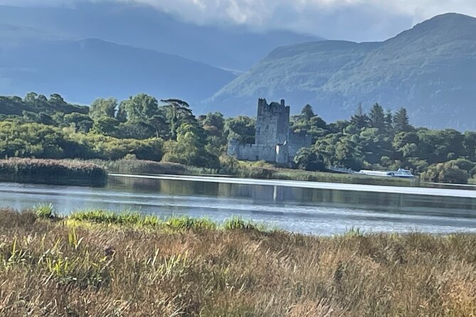 Horse-Drawn Carriage Tours in Killarney - Guides and horses: why the ride feels personal