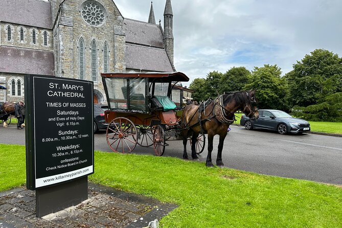 Horse-Drawn Carriage Tours in Killarney - Where it starts on Beech Road, and how meeting works